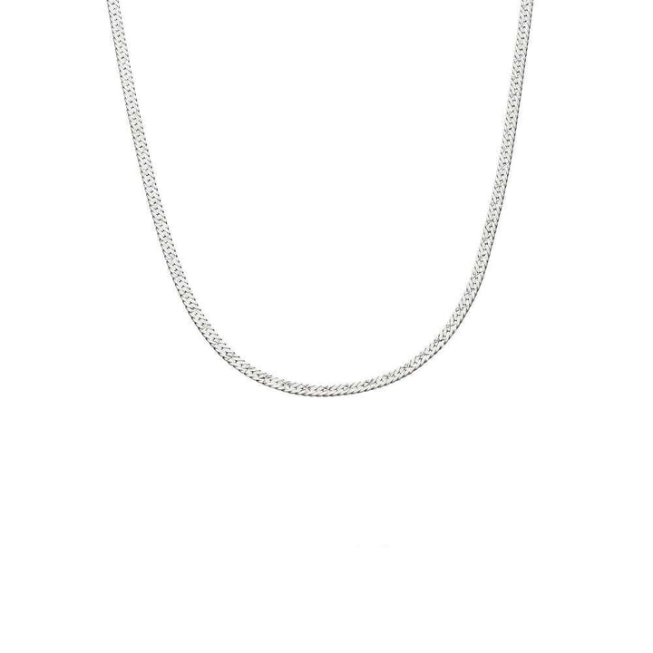 Daisy London Silver Estee Lalonde Short Snake Chain Necklace - MococoDaisy LondonELN08_SLVNecklaces