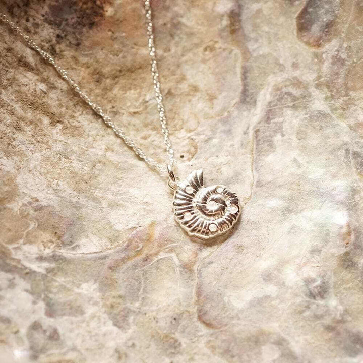 Daisy London Silver Pearl And Shell Pendant Necklace - MococoDaisy LondonSN19_SLVCharms & Pendants