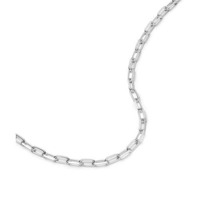 Daisy London Silver Shrimps Chunky Chain Necklace - MococoDaisy LondonSHN001_SLVNecklaces