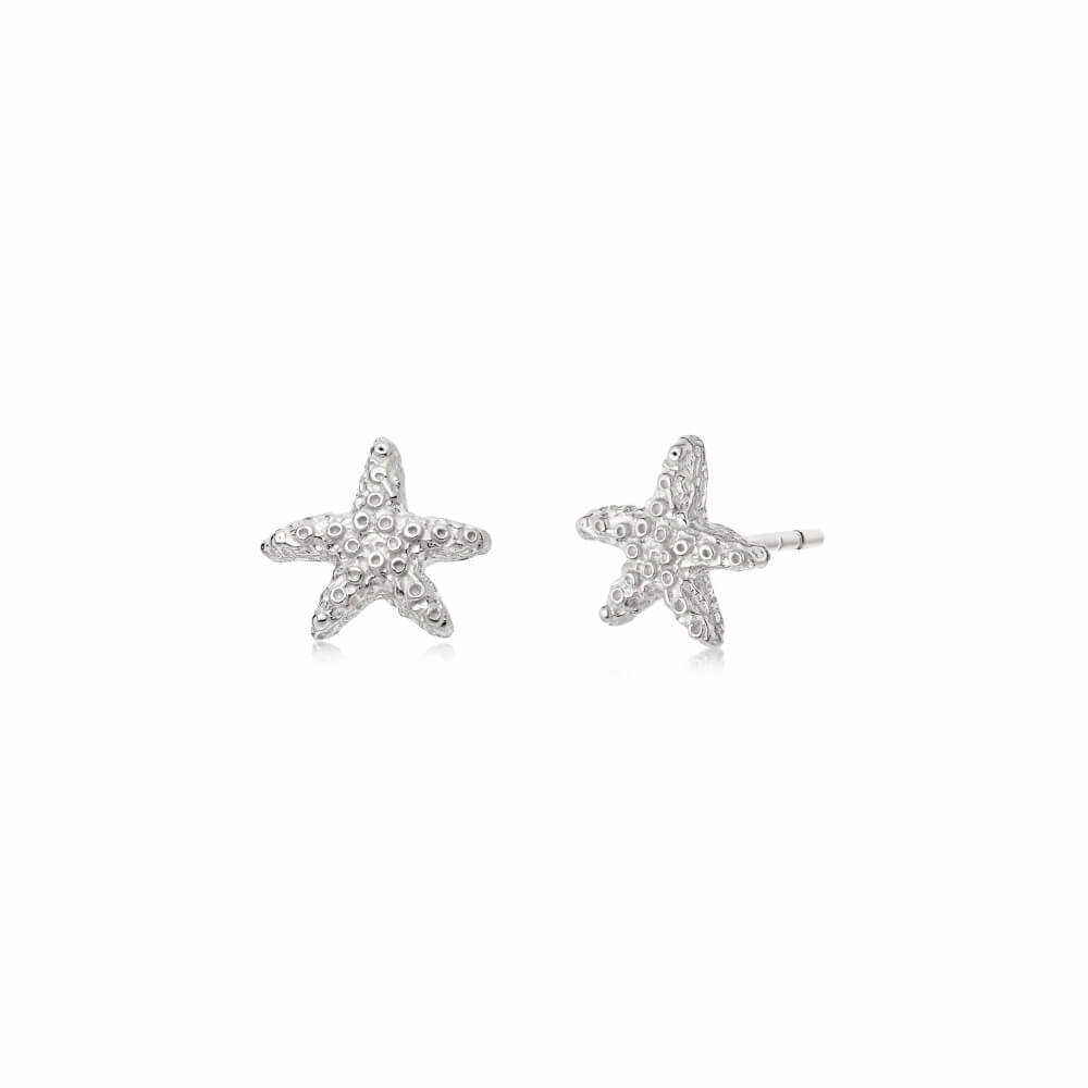 Daisy London Silver Starfish Stud Earrings - MococoDaisy LondonSE08_SLVEarrings