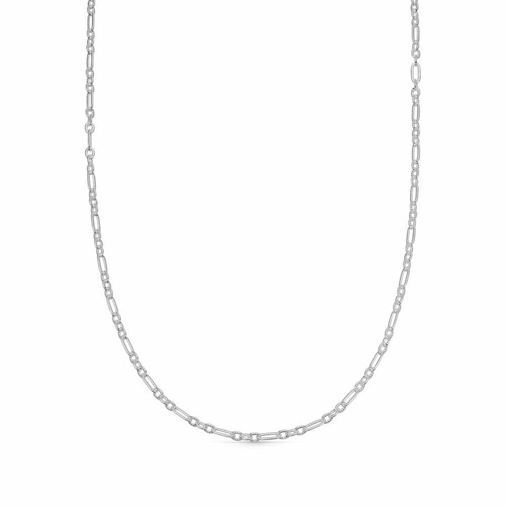 Daisy London Sterling Silver Apollo Chain Necklace - MococoDaisy LondonRSN02_SLV5056104134030Necklace