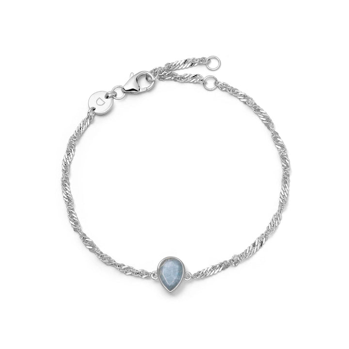 Daisy London Sterling Silver Birthstone Charm Bracelet - MococoDaisy LondonBSBR14_SLV5056104138892Bracelets
