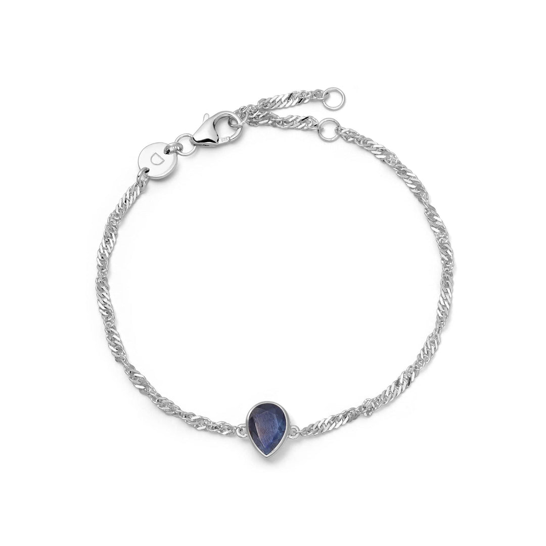 Daisy London Sterling Silver Birthstone Charm Bracelet - MococoDaisy LondonBSBR14_SLV5056104138892Bracelets