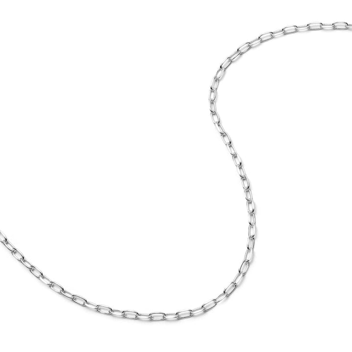 Daisy London Sterling Silver Light Paperclip Chain Necklace image