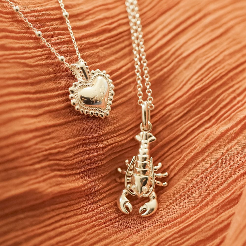 Daisy London Sterling Silver Lobster Chain Necklace 2