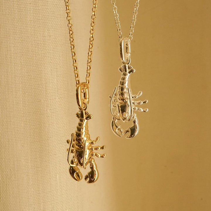 Daisy London Sterling Silver Lobster Chain Necklace 4
