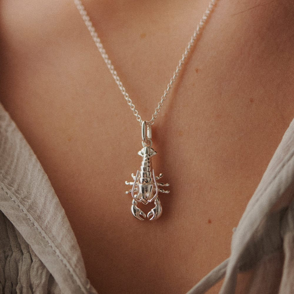 Daisy London Sterling Silver Lobster Chain Necklace - MococoDaisy LondonESN03_SLV5056104133545Necklace