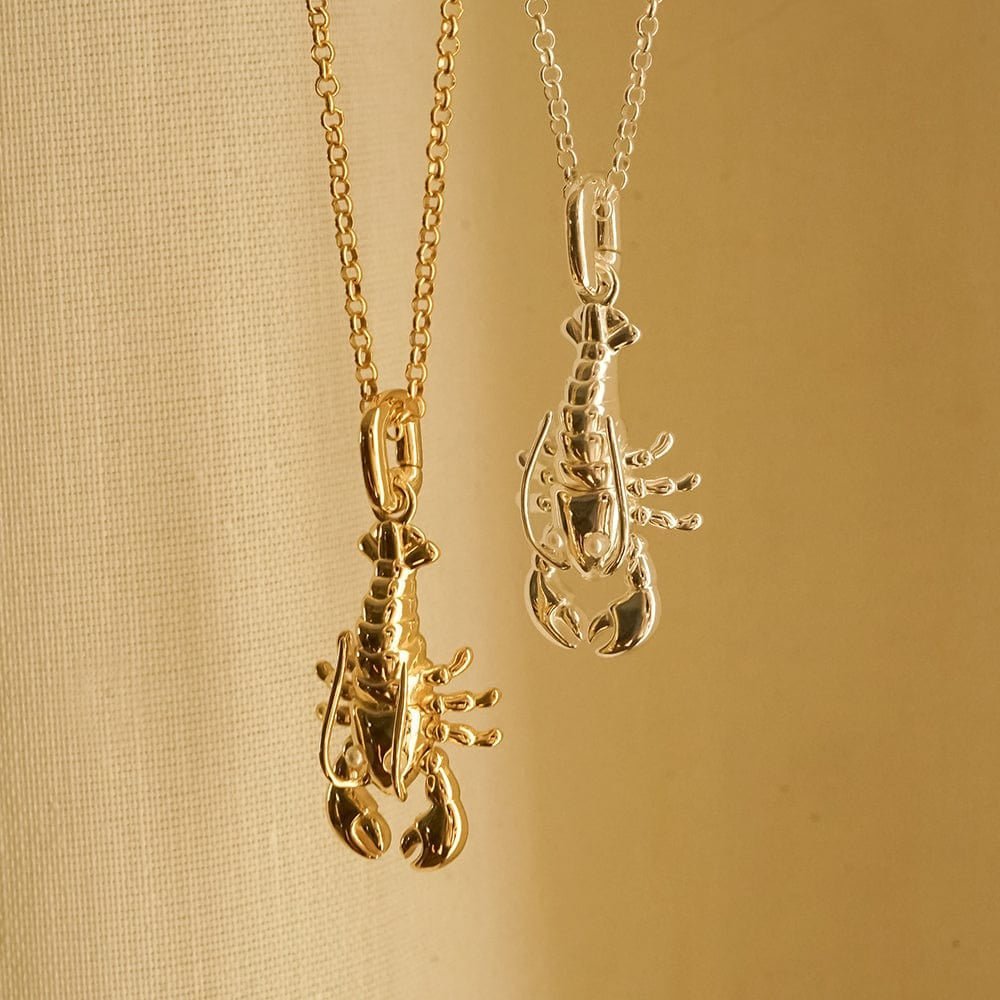 Daisy London Sterling Silver Lobster Chain Necklace - MococoDaisy LondonESN03_SLV5056104133545Necklaces