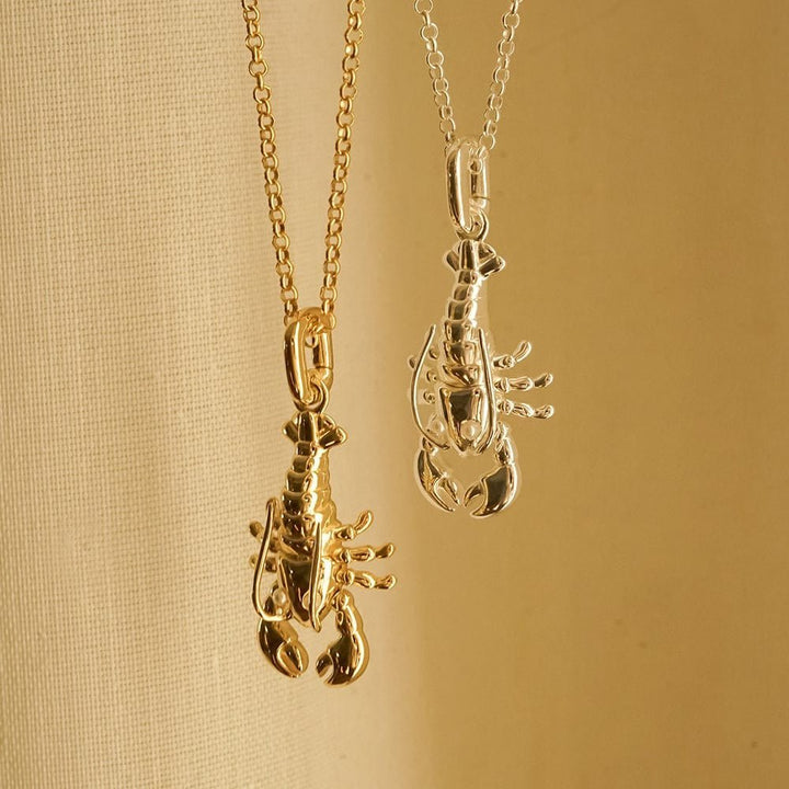 Daisy London Sterling Silver Lobster Chain Necklace - MococoDaisy LondonESN03_SLV5056104133545Necklaces