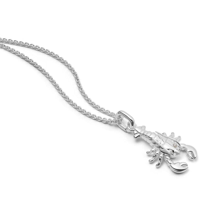 Daisy London Sterling Silver Lobster Chain Necklace - MococoDaisy LondonESN03_SLV5056104133545Necklace