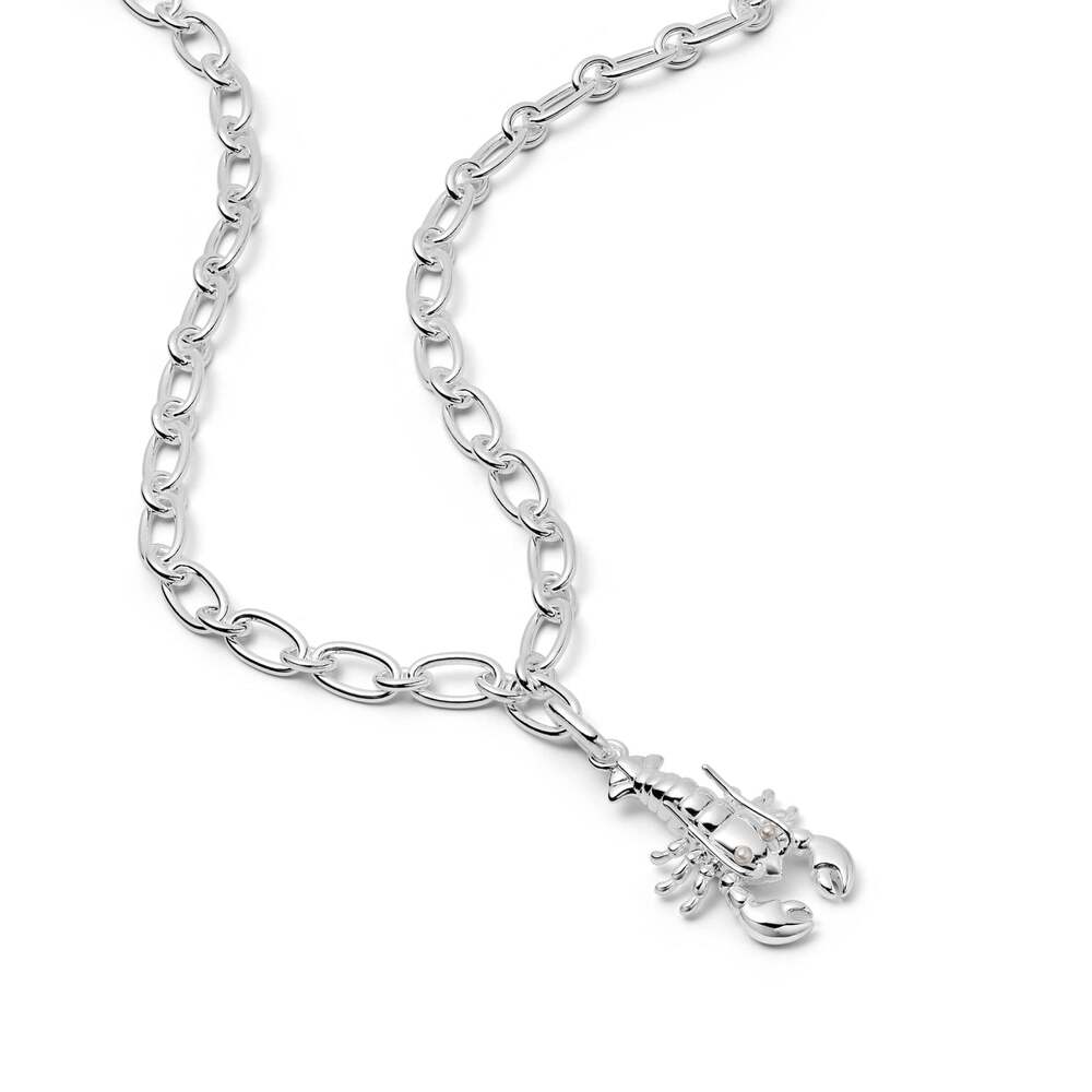 Daisy London Sterling Silver Lobster Chunky Chain Necklace