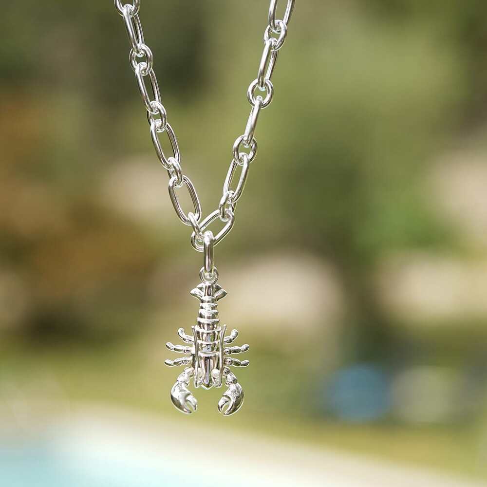 Daisy London Sterling Silver Lobster Chunky Chain Necklace Additional Image - 1