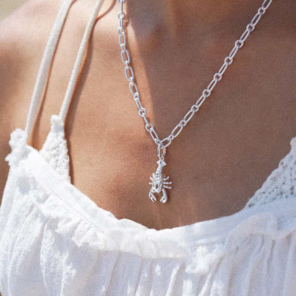 Daisy London Sterling Silver Lobster Chunky Chain Necklace Additional Image - 2