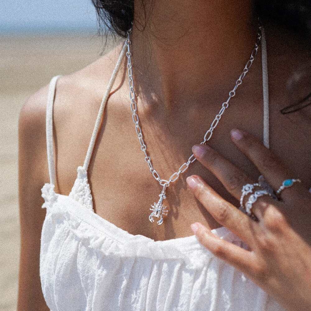 Daisy London Sterling Silver Lobster Chunky Chain Necklace Additional Image - 3