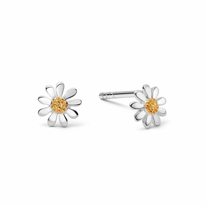 Daisy London Sterling Silver Marguerite Daisy Stud Earrings