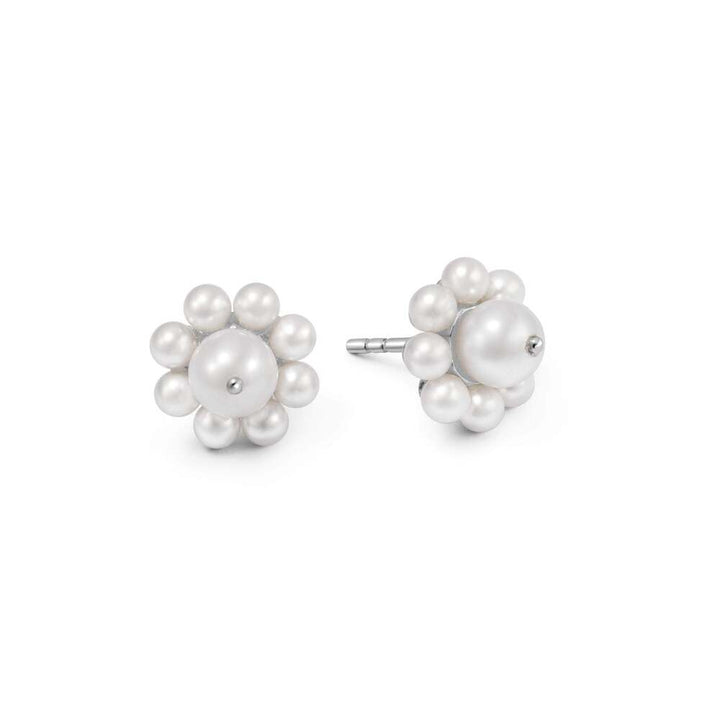 Daisy London Sterling Silver Shrimps Pearl Flower Stud Earrings
