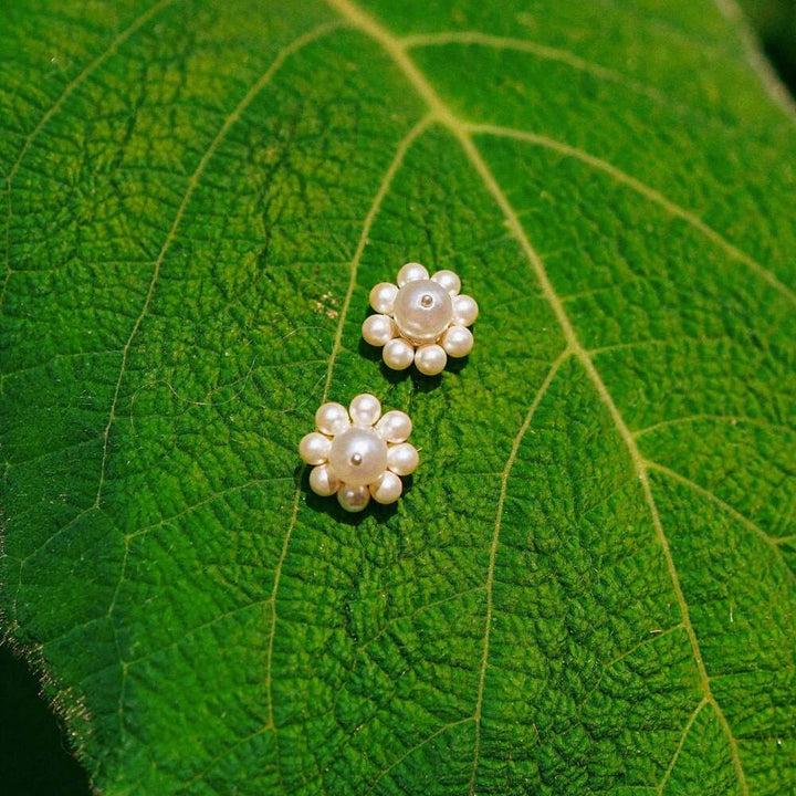 Daisy London Sterling Silver Shrimps Pearl Flower Stud Earrings Additional Image - 2