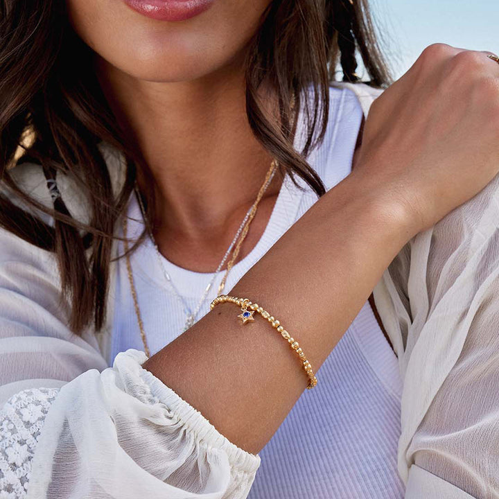Chlobo 18CT Gold Plated Birthstone Bracelet image 15