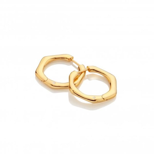Hot Diamonds Gold Fluid Earrings - MococoHot DiamondsDE7265055069049557Earrings