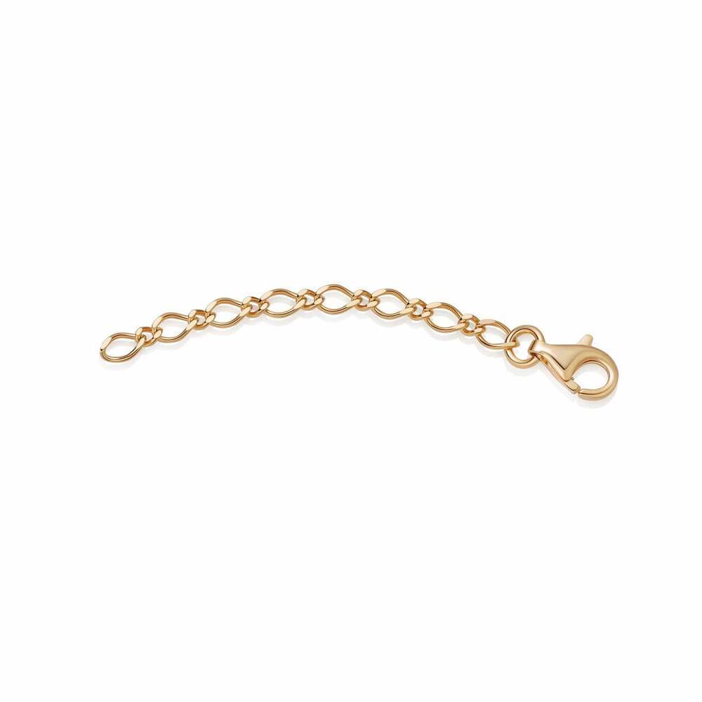 Daisy London Gold Bracelet and Necklace Extender Chain