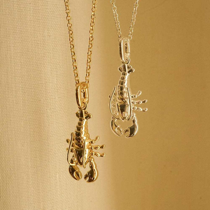 Daisy London Sterling Silver Lobster Chain Necklace Additional Image - 4