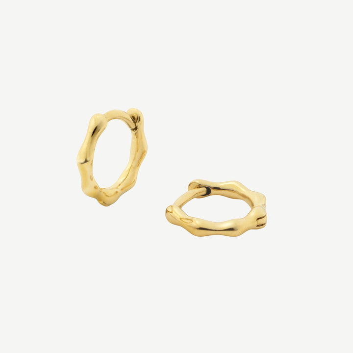 https://cdn.shopify.com/s/files/1/0973/8875/7256/files/niche-jewellery-gold-bamboo-huggie-earrings-a1b2c3d4.jpg?v=1778286217