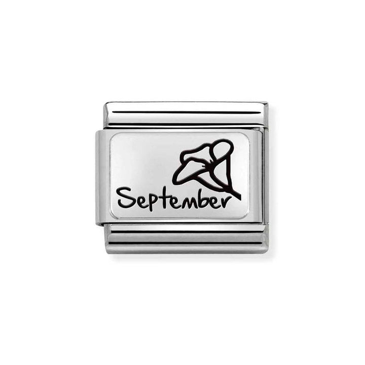 Nomination Classic Silver Birth Month Flower Charm - MococoNomination330112/218033497510761Charms and Links