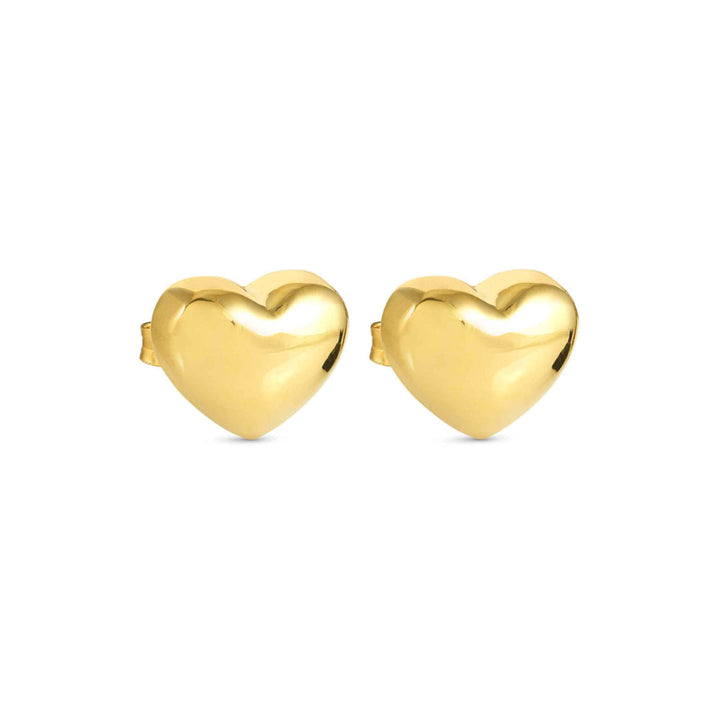 Nomination Silver and Gold Armonica (Large) Heart Earrings Image 4