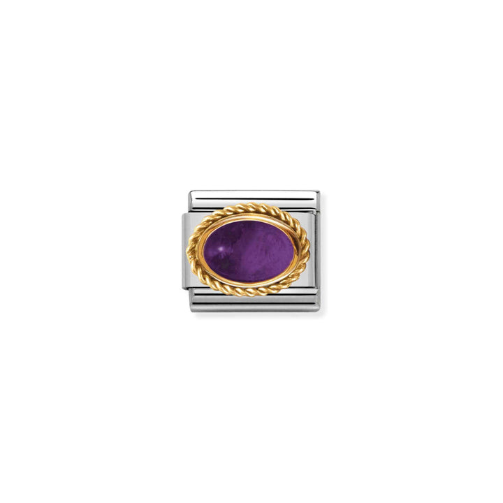 Nomination Silver and Gold Composable Semiprecious February Birthstone Charm Link image