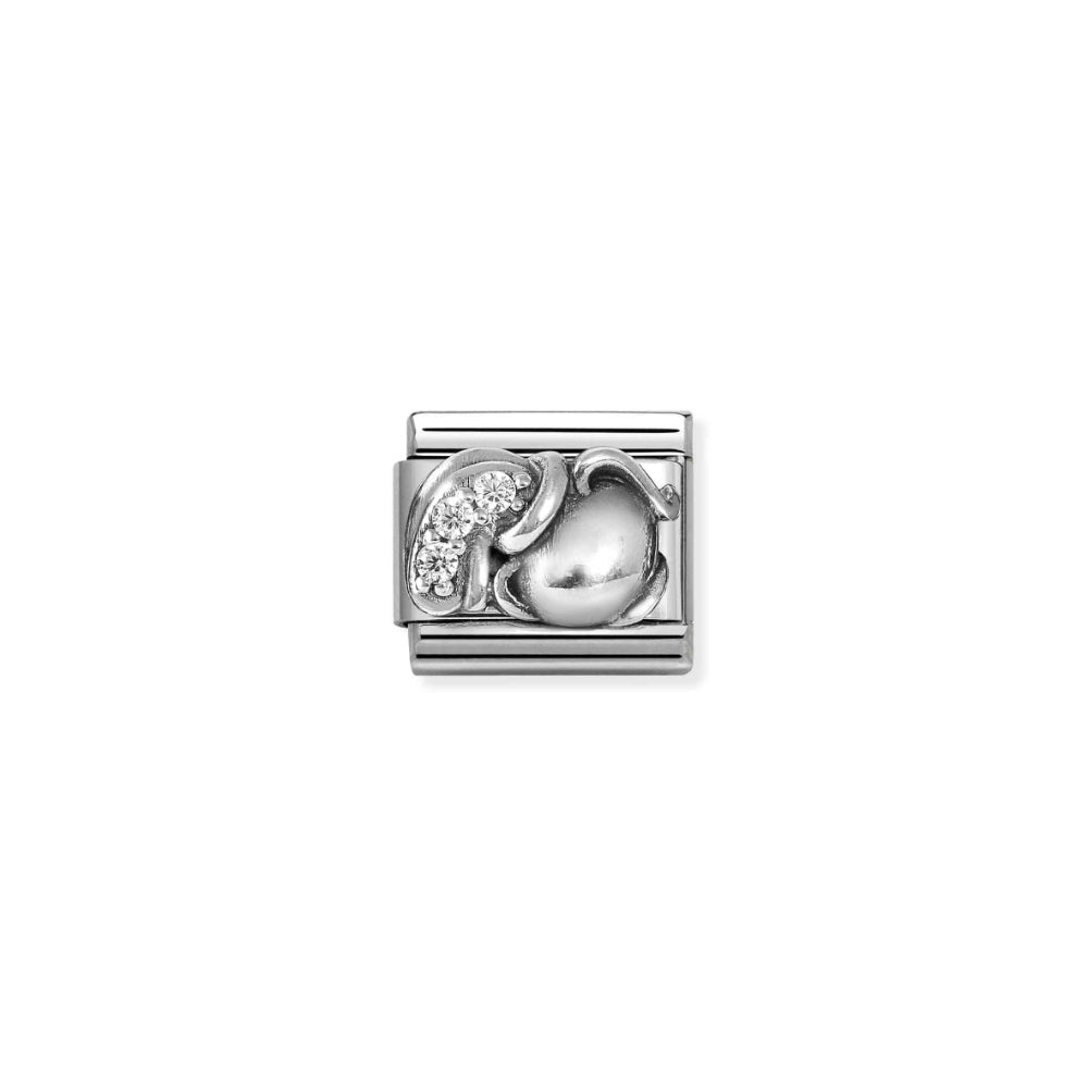 Nomination Silver Composable Aquarius with CZ Charm - MococoNomination330326/118033497553713Charms