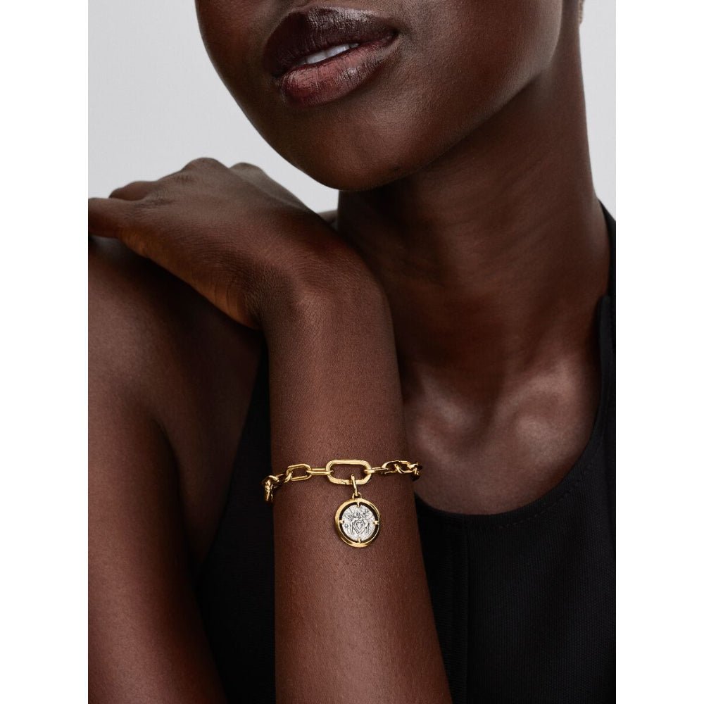 Pandora Gold and Silver Talisman Medallion Cupids Charm - MococoPandora764088C015700303218618Charms