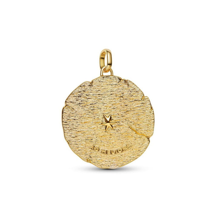Pandora Gold Talisman Medallion Crossing Arrows Cubic Zirconia - MococoPandora764084C015700303218960Charms