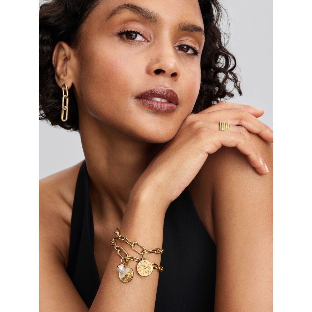 Pandora Gold Talisman Swallow Medallion with Clear Cubic Zirconia - MococoPandora764082C015700303218922Charms