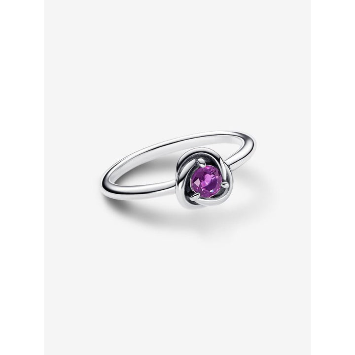 Pandora Silver February Birthstone Eternity Circle Ring - MococoPandora192993C02-485700303079875Rings