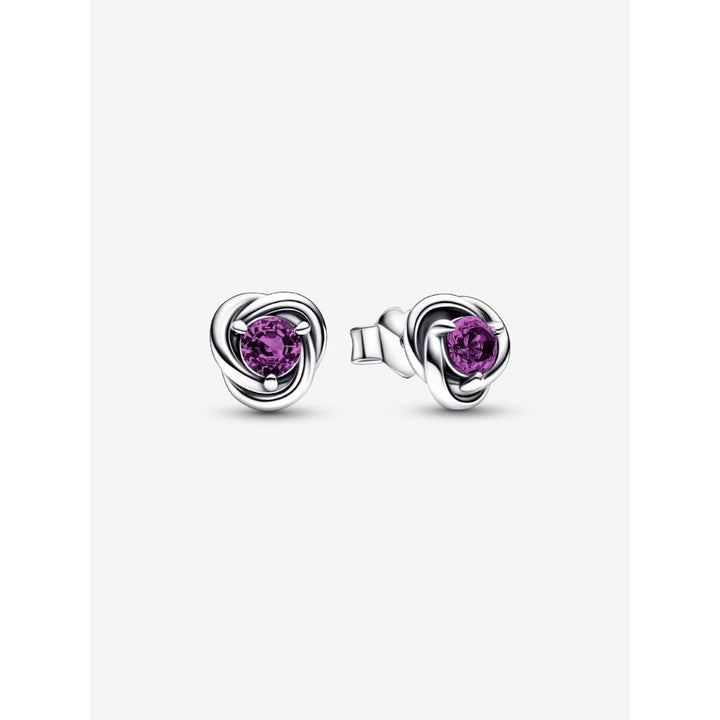 Pandora Silver February Birthstone Eternity Circle Stud Earrings - MococoPandora292334C025700303013718Earrings