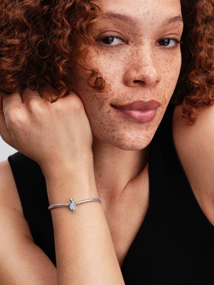 Pandora Silver Seal Charm - MococoPandora794146C015700303230733Charms