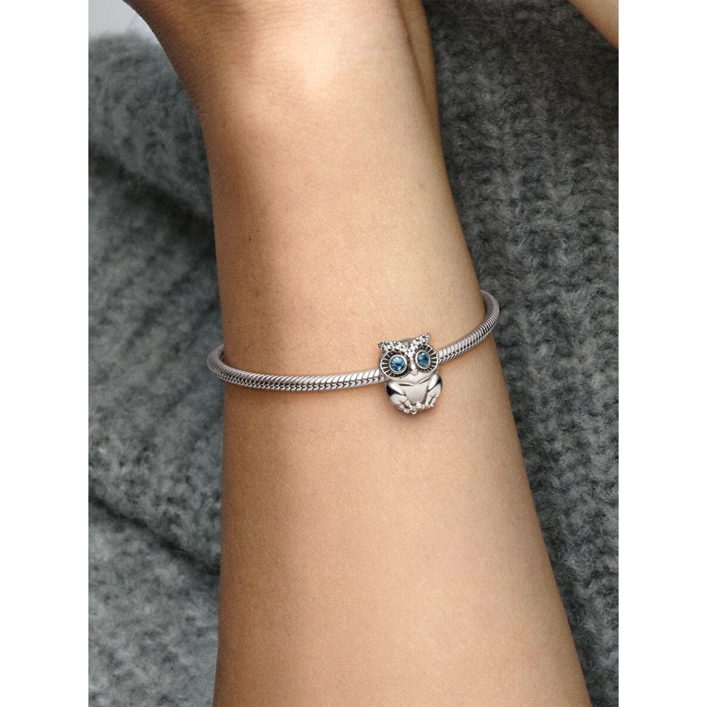 Pandora Silver Sparkling Owl Charm 2