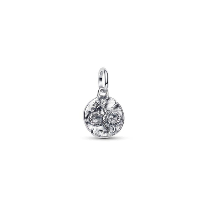 Pandora Silver Talisman Medallion Infinity Snake Cubic Zirconia - MococoPandora793976C015700303218670Charms