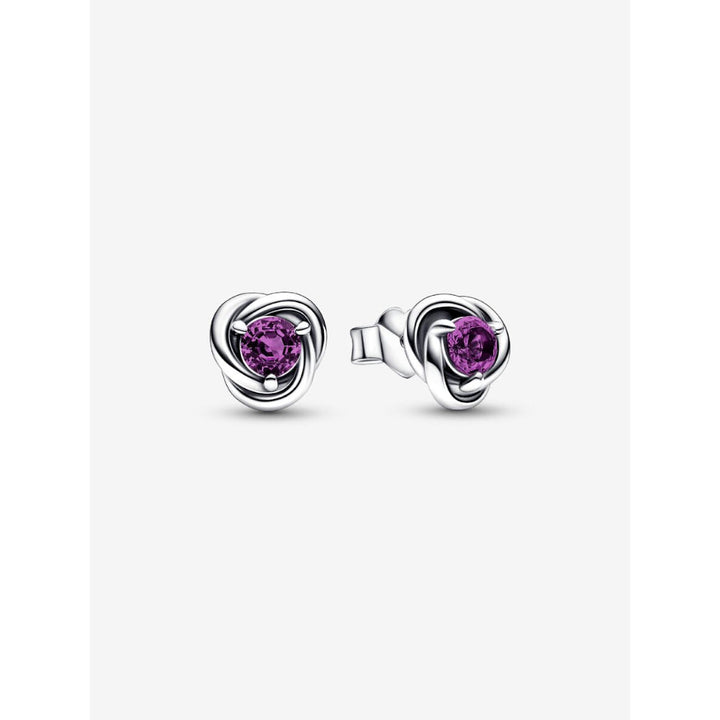 Pandora Sterling Silver February Birthstone Eternity Circle Stud Earrings Image 1