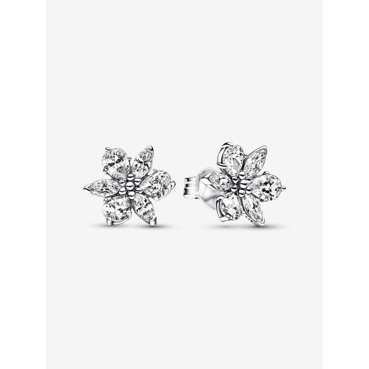 Pandora Sterling Silver Sparkling Herbarium Cluster Stud Earrings Image 1