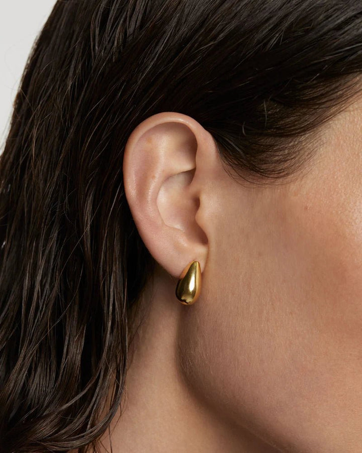 PDPAOLA Gold Small Sugar Earrings - MococoPDPAOLAAR01 - 882 - U8435511743733Earrings