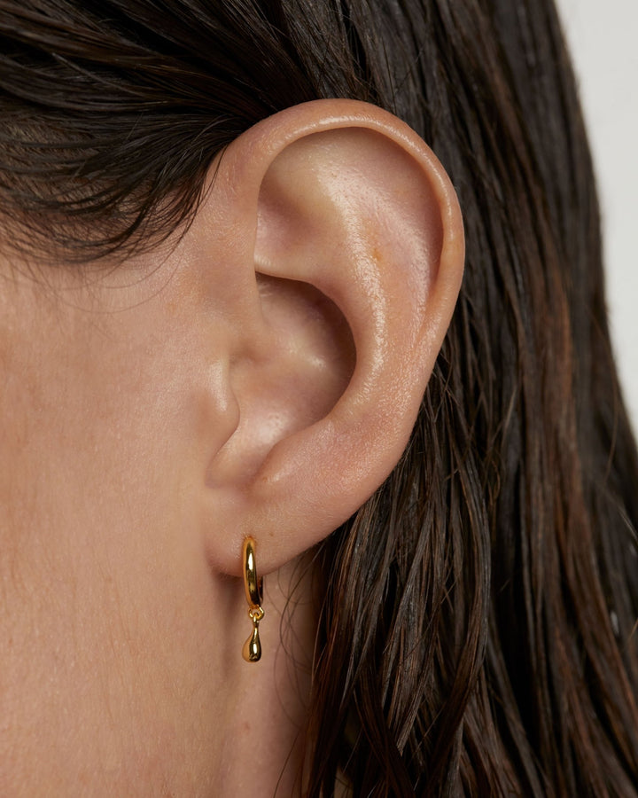 PDPAOLA Gold Teardrop Single Hoop Earring - MococoPDPAOLAPG01 - 025Earrings
