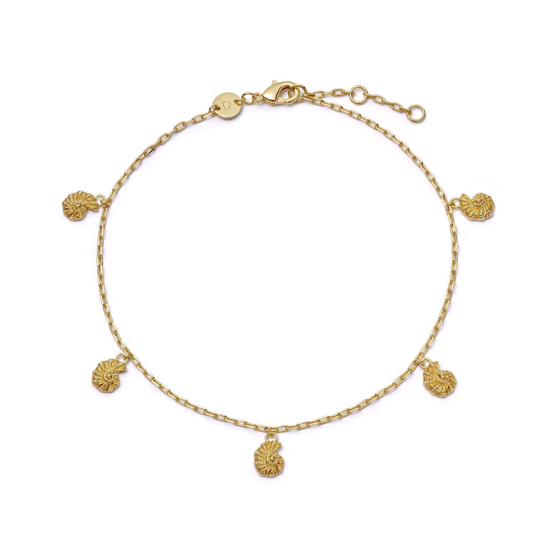 Daisy London Polly Shell Charm Anklet 18ct Gold Plate