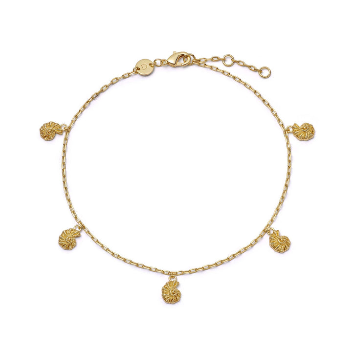 Daisy London Polly Shell Charm Anklet 18ct Gold Plate