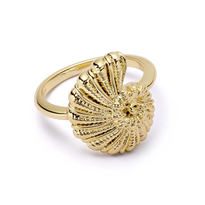 Daisy Polly Sayer Shell Ring