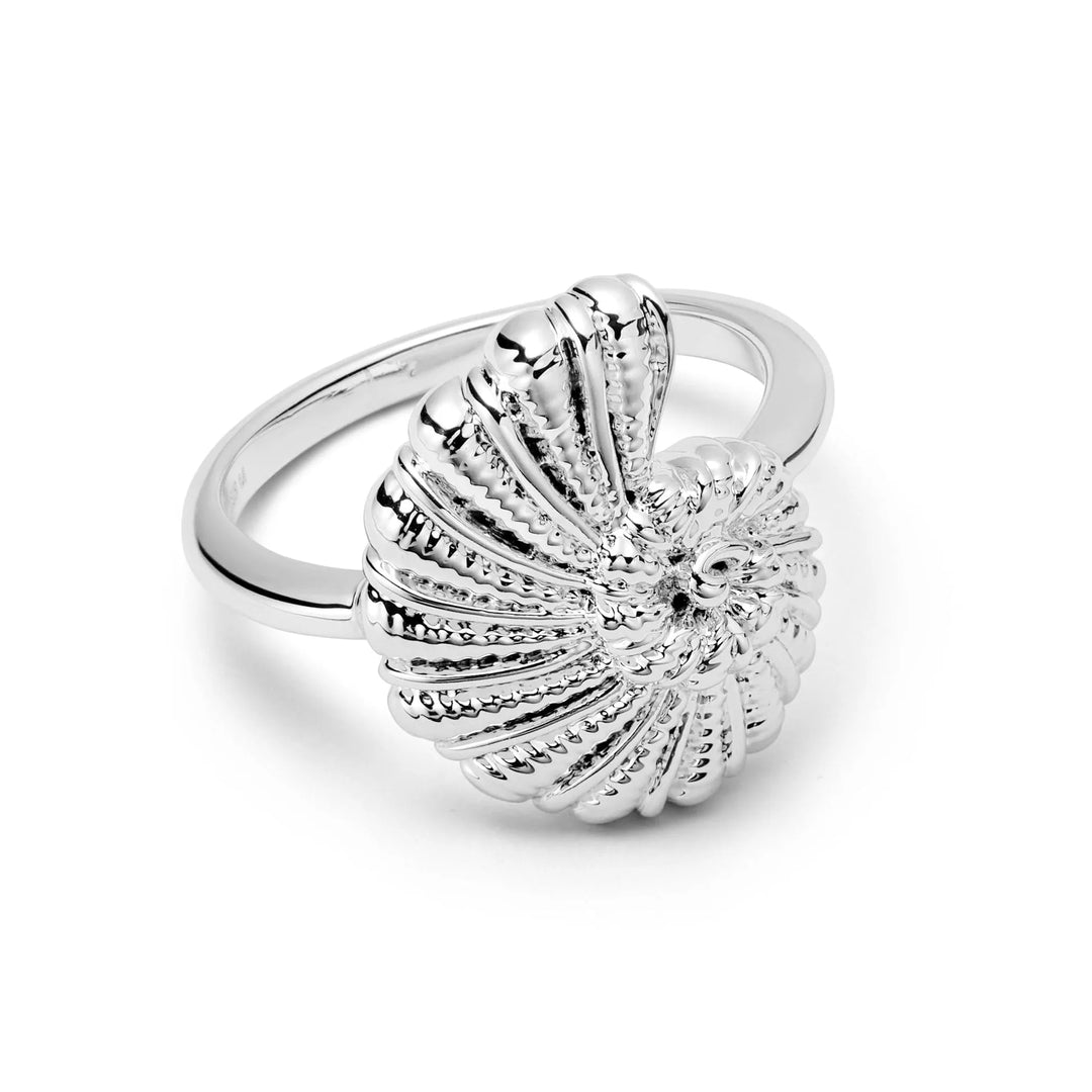 Daisy Polly Sayer Shell Ring