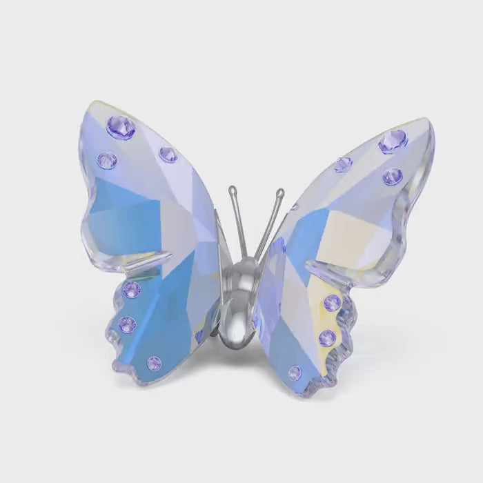 Swarovski Ariana Grande Butterfly Figurine Multicoloured