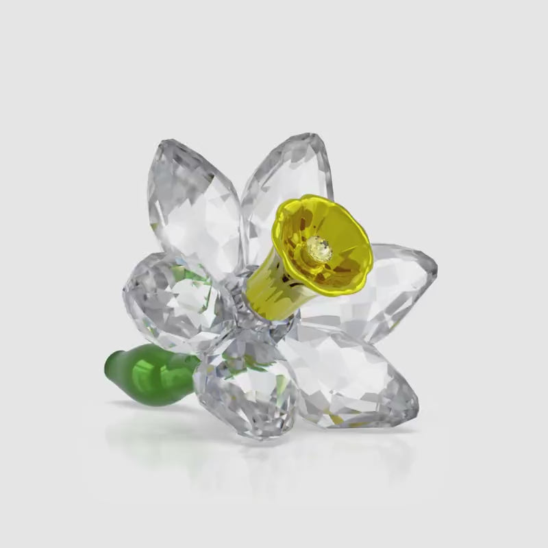 Swarovski Florere Daffodil Crystal Decorative Figurine