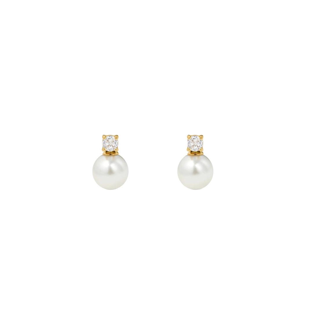 https://cdn.shopify.com/s/files/1/0481/1984/0936/files/productimage39.jpg?v=1737631716
