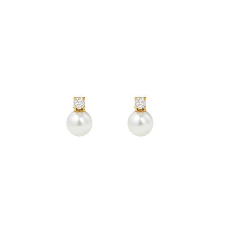 https://cdn.shopify.com/s/files/1/0481/1984/0936/files/productimage39.jpg?v=1737631716